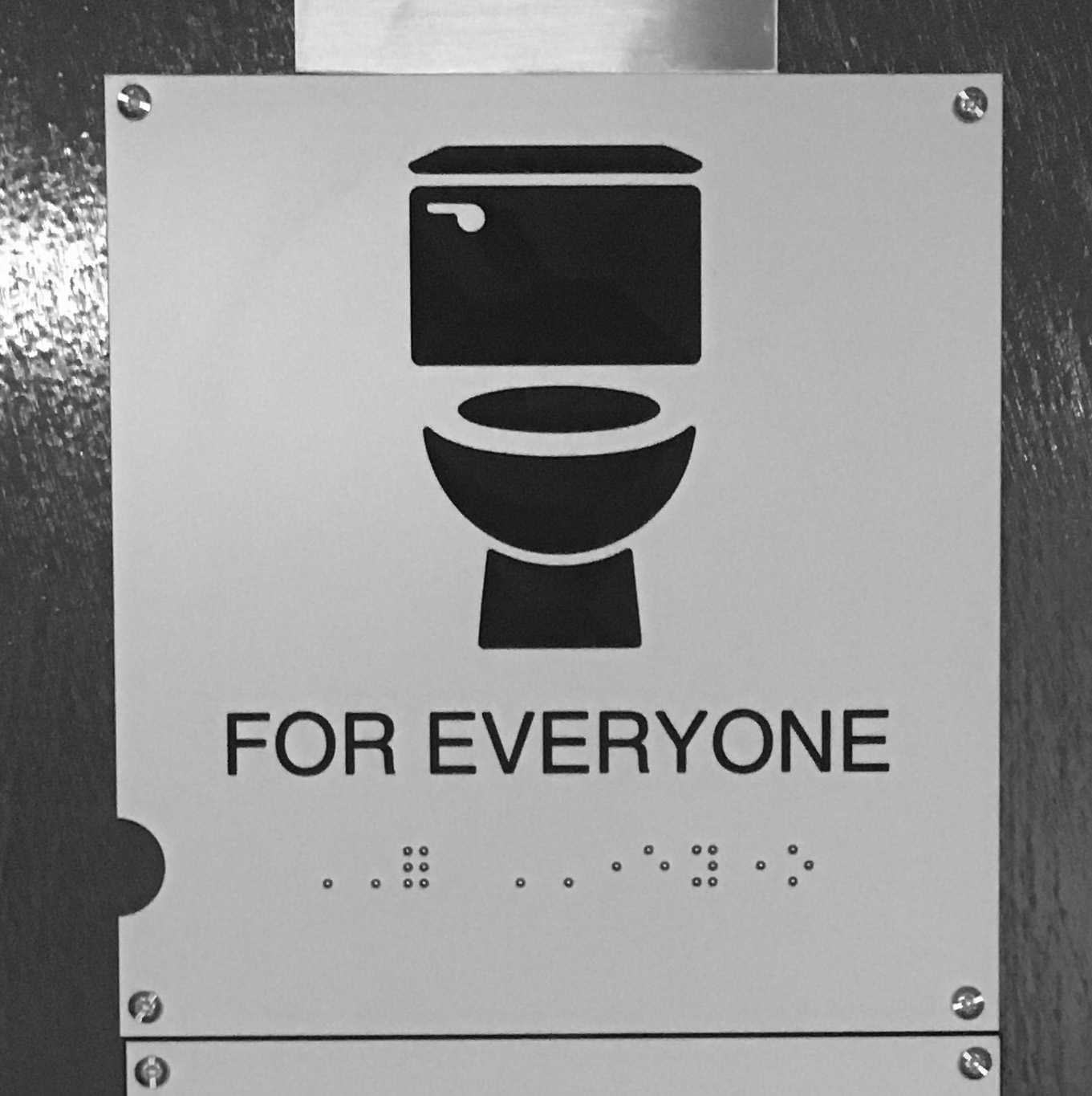 A metal door sign showing an icon of a toilet. Underneath it says 'FOR EVERYONE', with braille underneath. 